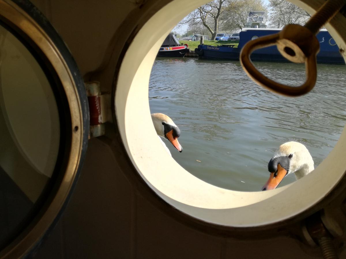 Hotel Barge Waternimf Ely Eksteriør billede